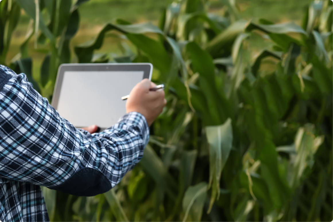 Operación en tiempo real y sin conexión