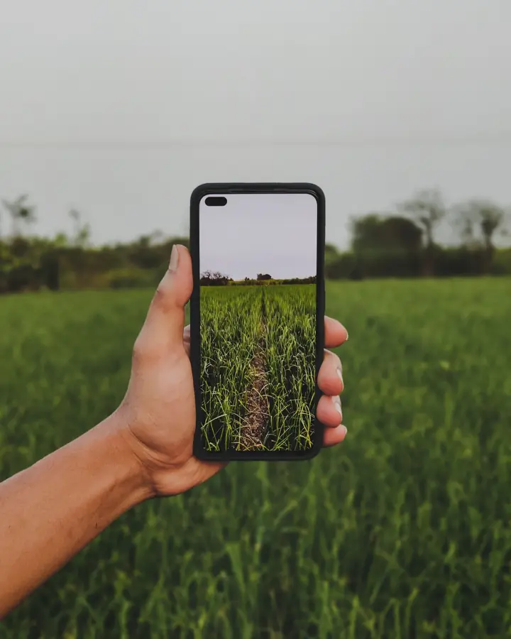 Celular registrando información en un cultivo con Fixi