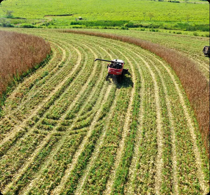 Cosechadora recorriendo un cultivo, labores de corte o cosecha con Fixi Agro