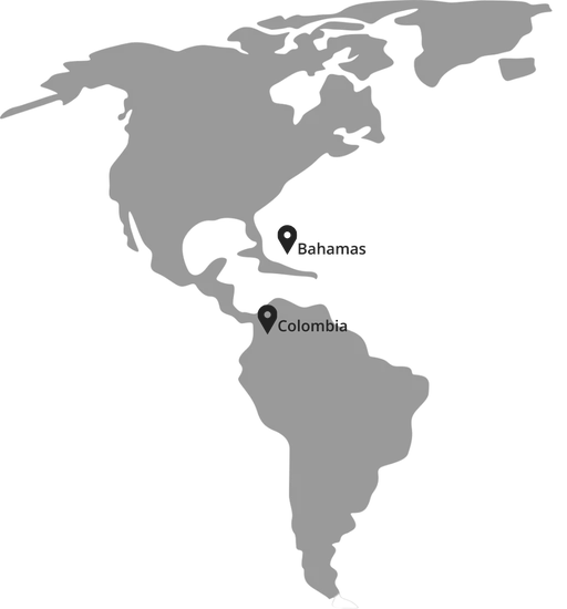 Presencia en múltiples países